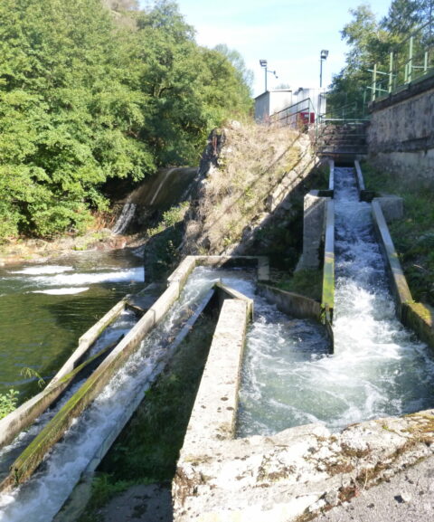 entreprise-ingenierie-hydro-rhone-alpes entreprise-ingenierie-hydro-rhone-alpes